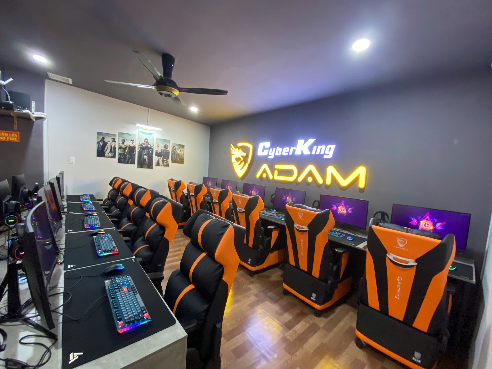 Cyberking Adam Gaming 2